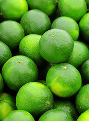 lime citrus fruit