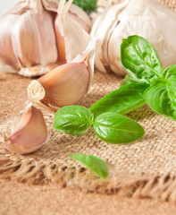 garlic cloves and garlic heads and pestle - herbs and spices 