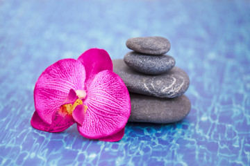 details of daily spa, stones and orchid