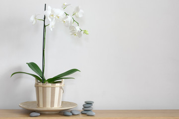 Naklejka na ściany i meble Still life with orchid