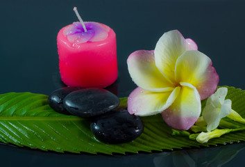 Spa stones and frangipani flowers.