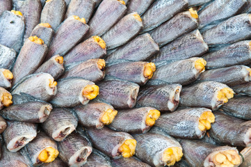 dry gourami fish and spaen