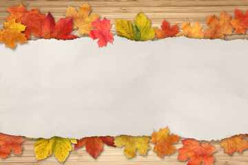 Naklejka na ściany i meble Herbstblätter auf Papier und Holz