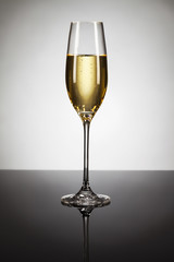 ein glas mit champagner auf schwarzem spiegel mit spot licht