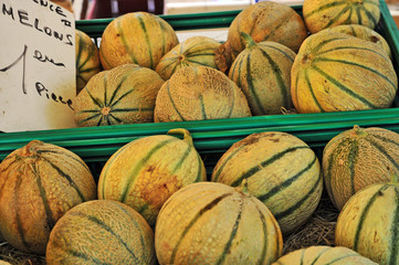 Meloni al mercato di Valreas - Provenza