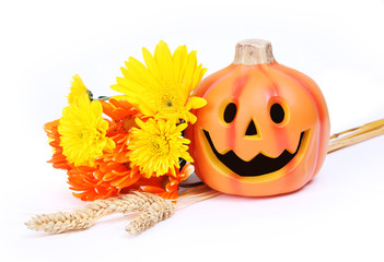 halloween pumpkin and fall flowers isolated on white