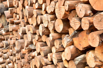 Pile of wood logs