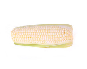 white corn isolated on white