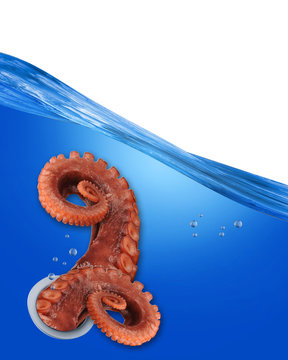 Octopus Tentacle under Water.