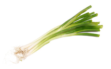 green onion bunch isolated on white background