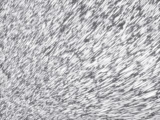 Alice blue   color  hard  tiny line Background ''