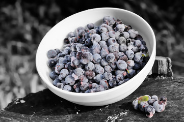 Frozen Bilberries on Tree Stump on Black and White Background