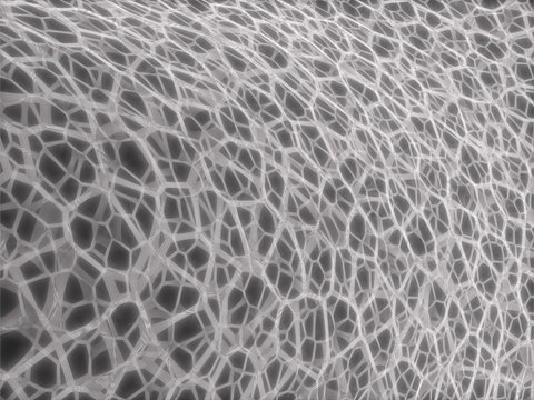 Pastel gray   network   soft neurologie Background ''