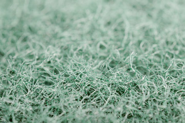 Scrubbing Sponge Macro Texture