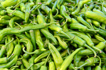 Ripe green peppers