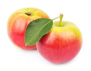 Two  apples with leaves