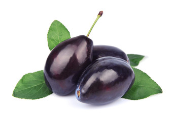 Ripe plum fruit