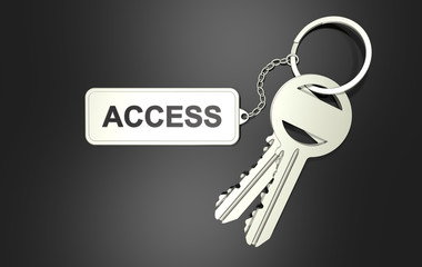 Access Key