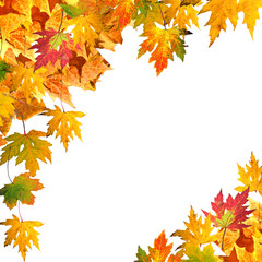 Naklejka na ściany i meble Układ Jesień kolorowych liści