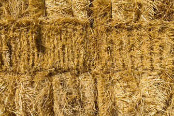 Haystack wall of dried straw