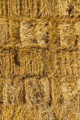 Wall of dried straw