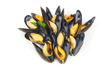 moules cuites sur fond blanc