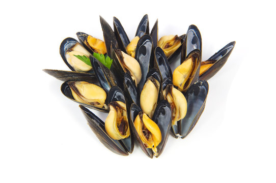 moules cuites sur fond blanc