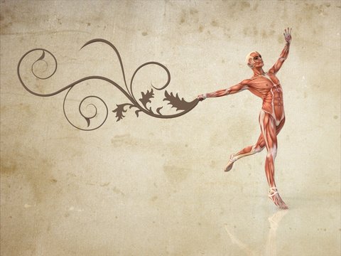 Anatom&iacute;a Hombre con Flores