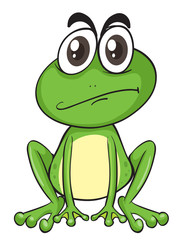 a frog