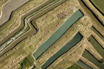 Marais salants du videau à Dolus-d'Oleron