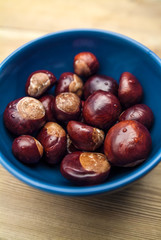 Blue bowl with chestnuts on wood