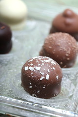 fine chocolates