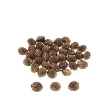 Hemp seeds isolated on white background.