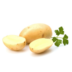New potato and green parsley