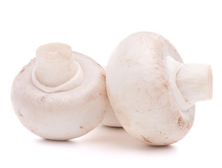 Champignon mushroom