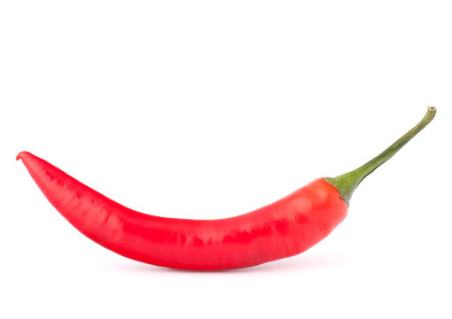 Hot red chili or chilli  pepper