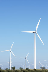 Fototapeta premium wind energy