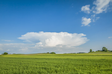 landscape with special cloud