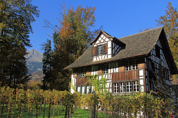 bauernhof im weinberg