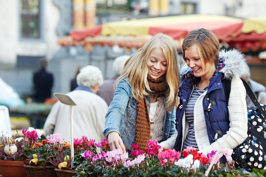 two young women looking at the cyclamen