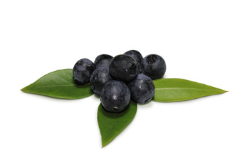Blueberries