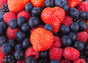 berry background