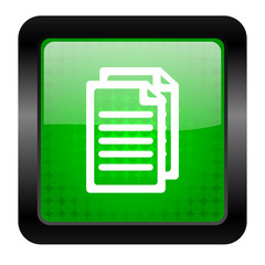 document icon