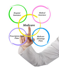 Diagram of medicare