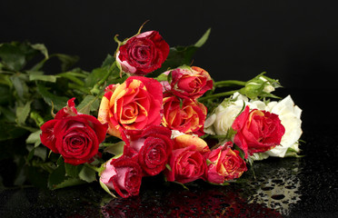 Bouquet of beautiful roses on black background close-up
