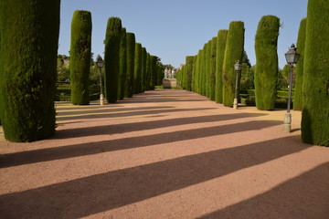 Luces y sombras