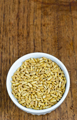 Kamut (Khorasan Wheat, Wheat Variety)