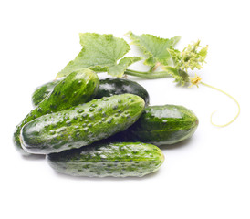 Fresh cucumbers with leaf