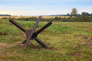 Czech hedgehog © ID1974