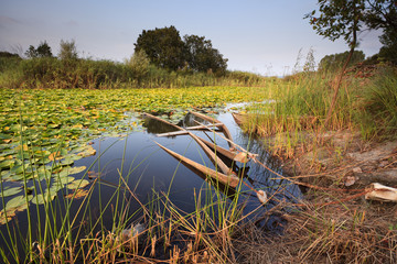 Pantano para&iacute;so